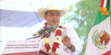 En Puebla deberán cumplirse los acuerdos del Consejo Nacional de Morena: Gobernador