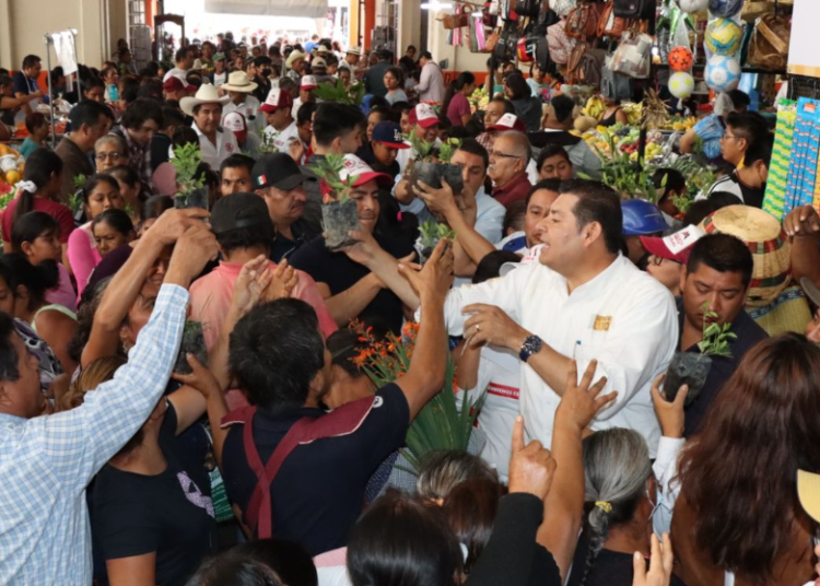 Armenta impulsará paneles solares en tianguis y mercados