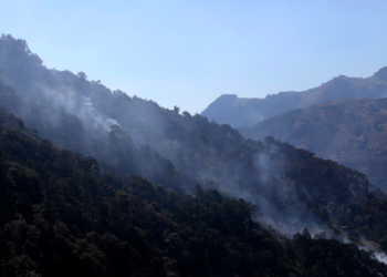 Fue extinguido el incendio forestal de Zacatlán