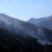 Fue extinguido el incendio forestal de Zacatlán