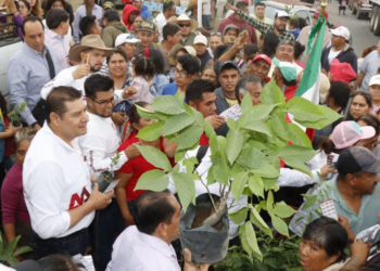 Armenta intensifica jornadas forestales