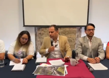 Morena no debe hacer alianzas con perfiles “priistas, morenovallistas o caciques”: Carvajal