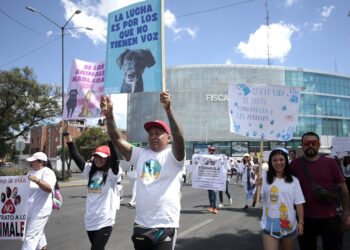 Reclaman justicia para ‘Huellitas’ y ‘Muñeca’