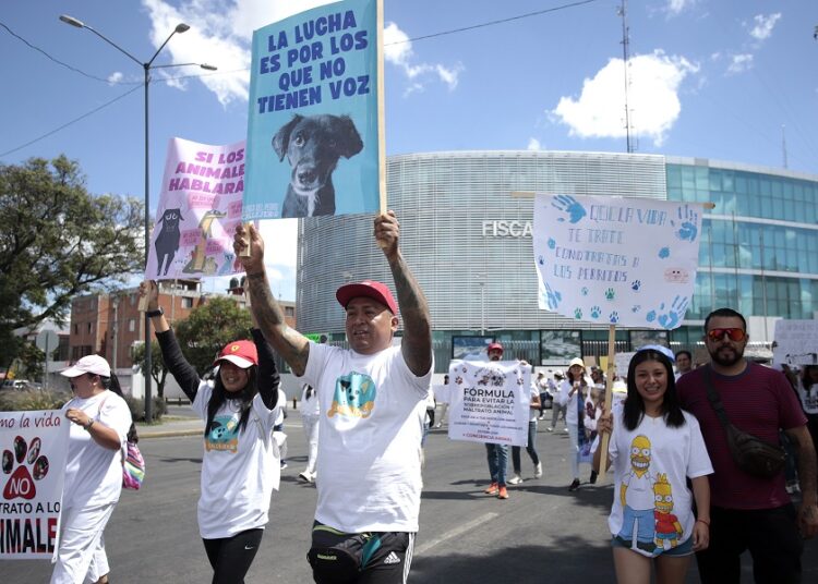 Reclaman justicia para ‘Huellitas’ y ‘Muñeca’