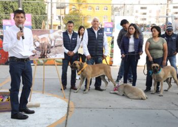Ayuntamiento de Puebla rescató 11 ‘lomitos’ para dar en adopción