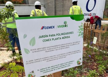 Cementera construye hogar para abejas, mariposas y colibríes