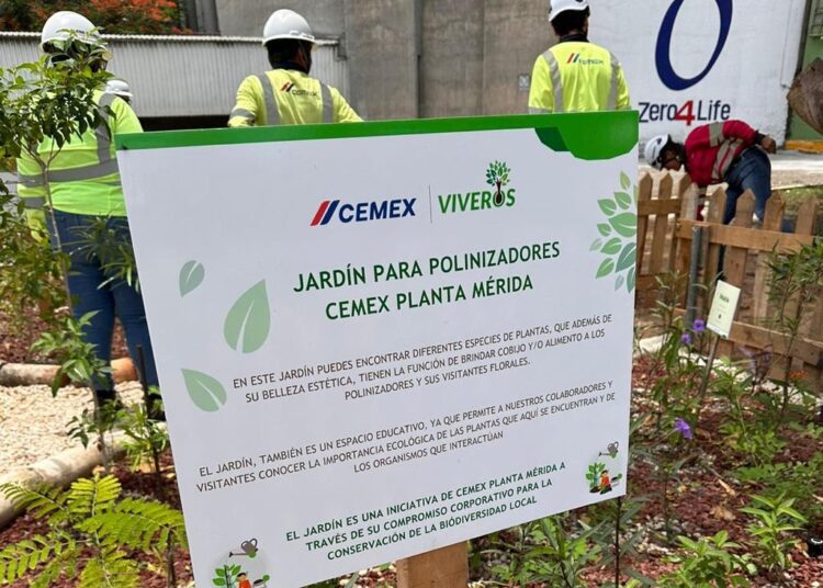 Cementera construye hogar para abejas, mariposas y colibríes
