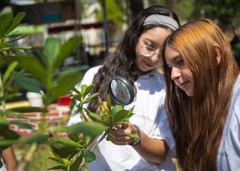Canteras de Cemex salvaguardan la biodiversidad