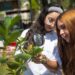 Canteras de Cemex salvaguardan la biodiversidad
