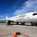 AIP sumará una nueva ruta con vuelo a Tijuana de Viva Aerobus