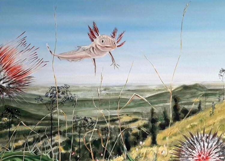 Biodiversidad de México inspira el arte de Jasper de Gelder