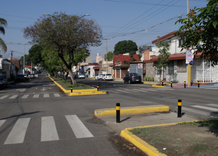 Ayuntamineto alista reforestación en camellones; invertirán 10 millones de pesos