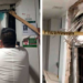 Se castigarán a responsables de muerte de la niña quedó prensada en elevador del IMSS: AMLO