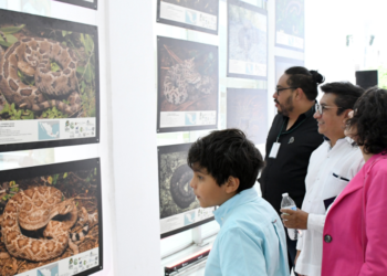 Se inaugura la exposición fotográfica Serpientes mexicanas: las víboras