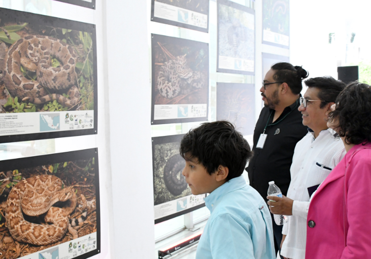 Se inaugura la exposición fotográfica Serpientes mexicanas: las víboras