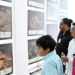 Se inaugura la exposición fotográfica Serpientes mexicanas: las víboras