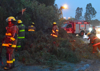 Aguacero deja inundaciones y árboles caídos en varios puntos de la ciudad