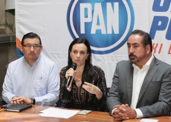 PAN pide al Congreso aprobar reforma para agilizar adopción