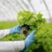 Transformar el sistema agroalimentario podría resolver los retos más importantes del mundo