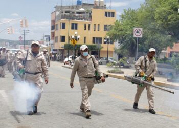 Fumigarán 14 comunidades de la Mixteca para evitar casos de dengue