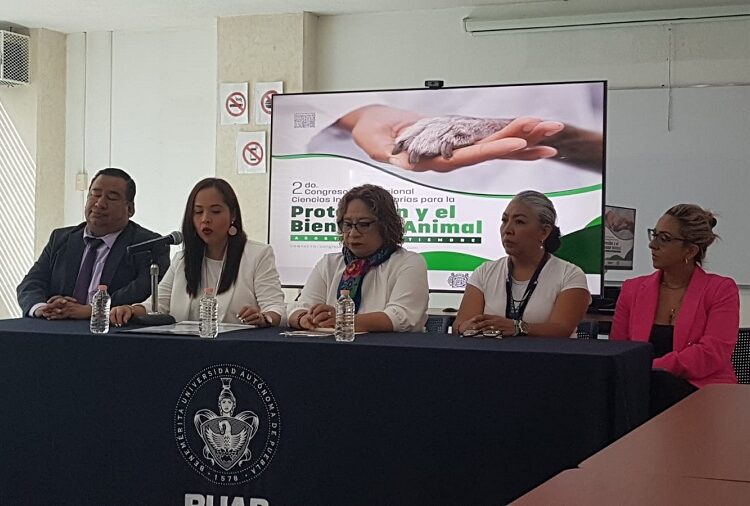Es necesario reeducar a la sociedad para evitar maltrato animal: BUAP