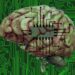 Monitoreo y manipulación cerebral, ¿estás listo para lo que viene?