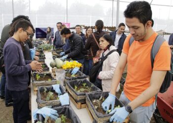 ¿Te interesa la agricultura urbana? Checa este taller de huertos en huacales