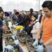 ¿Te interesa la agricultura urbana? Checa este taller de huertos en huacales