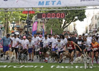 Más de 400 personas y sus lomitos participan en carrera ‘Contigo y tus perritos’