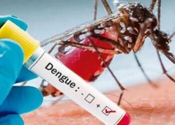 Izúcar de Matamoros concentra mayor número de casos de dengue