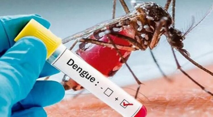 Izúcar de Matamoros concentra mayor número de casos de dengue