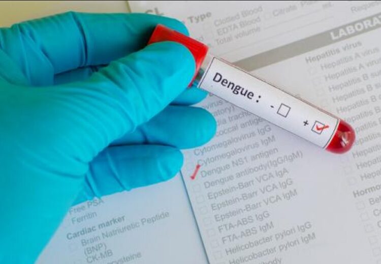 No hay personas hospitalizadas por dengue