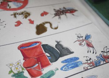 Reportan mil 30 casos acumulados de dengue