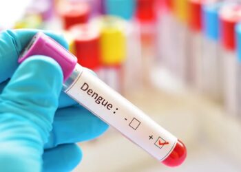 No hay personas hospitalizadas por dengue