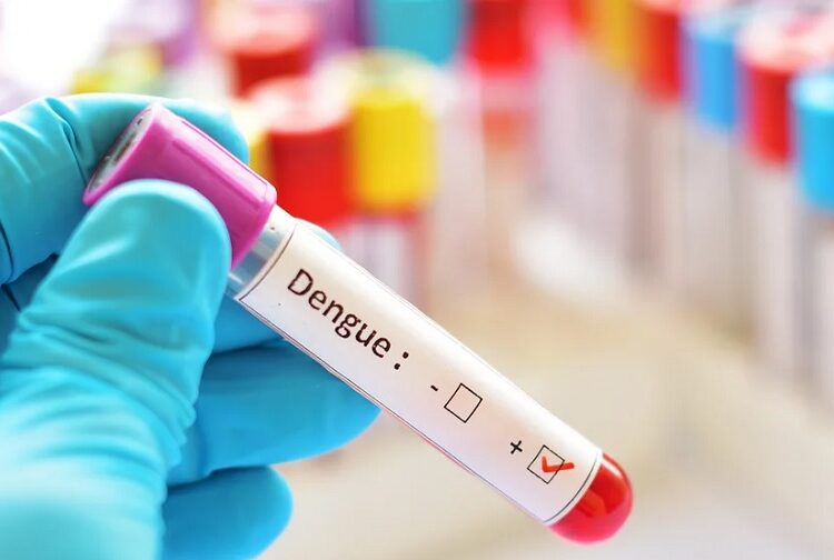 No hay personas hospitalizadas por dengue