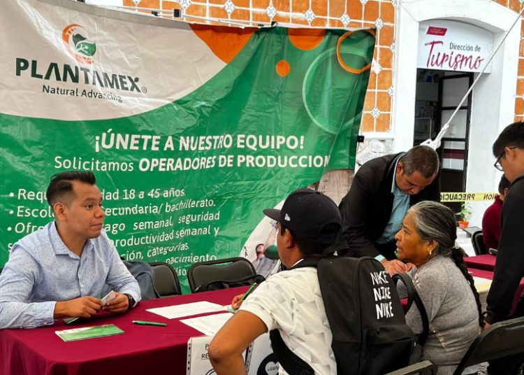 Logra Gobierno Estatal colocar a 45% de buscadores de empleo