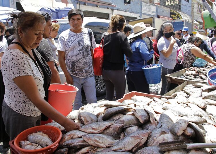 Clausurarán locales de pescados y mariscos que arrojen desechos a vía pública