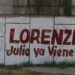 Multas para sancionar pinta de bardas son viables
