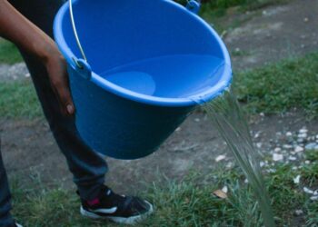 No se reportan nuevos casos ni decesos por dengue