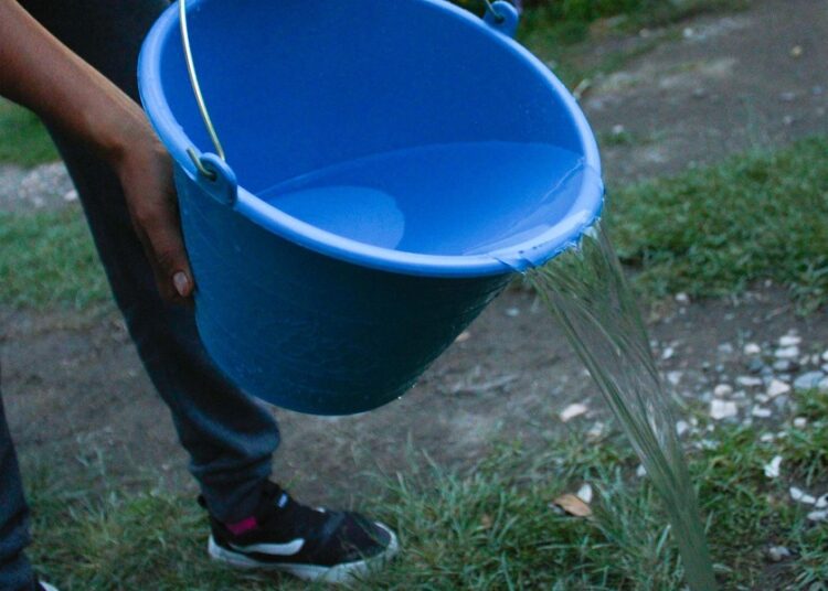 No se reportan nuevos casos ni decesos por dengue
