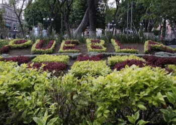 Agenda Cultural de fin de semana en el Ayuntamiento de Puebla