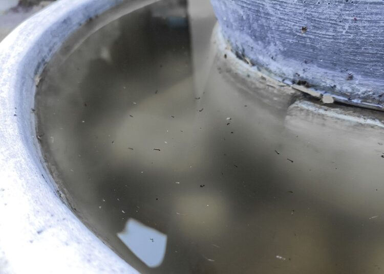 Reportan 9 hospitalizados por dengue