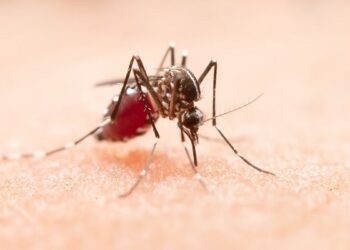 Acumula Puebla mil 359 casos de dengue