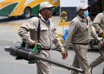 No se reportaron nuevos casos ni hospitalizados por dengue