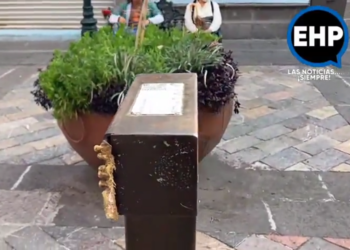 VIDEO: Desaparece figura Alas que Abrazan en la 6 oriente