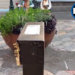 VIDEO: Desaparece figura Alas que Abrazan en la 6 oriente