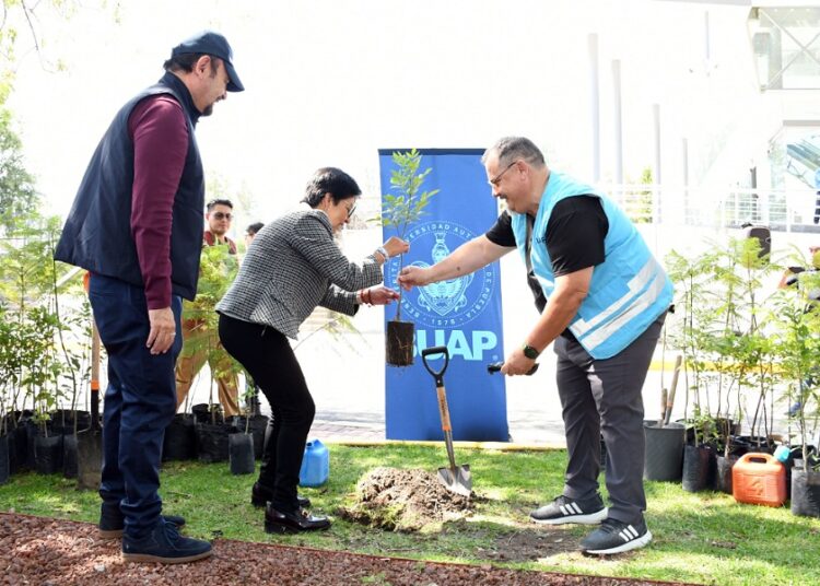 Lilia Cedillo ignaugura ‘Maratón de Reforestación Universitaria 2023’