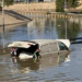 Las lluvias e inundaciones dejan más de 5 mil muertos en Libia