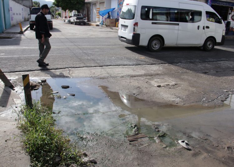 Descarta Salud defunciones por dengue en últimas 24 horas