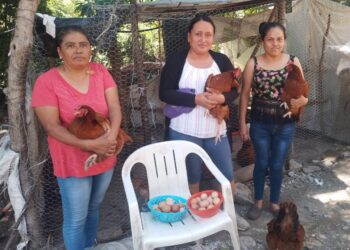 Promueve Bienestar ahorro familiar con producción avícola